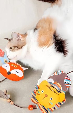 宠物玩具毛绒玩具A+亚马逊场景合成跨境国际站设计