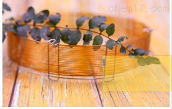 小口径白酒毛细管C2柱程序升温分析