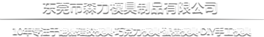 东莞市森力模具制品有限公司