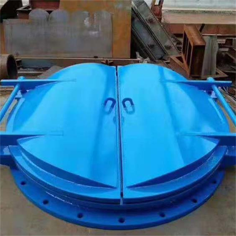 双开玻璃钢拍门