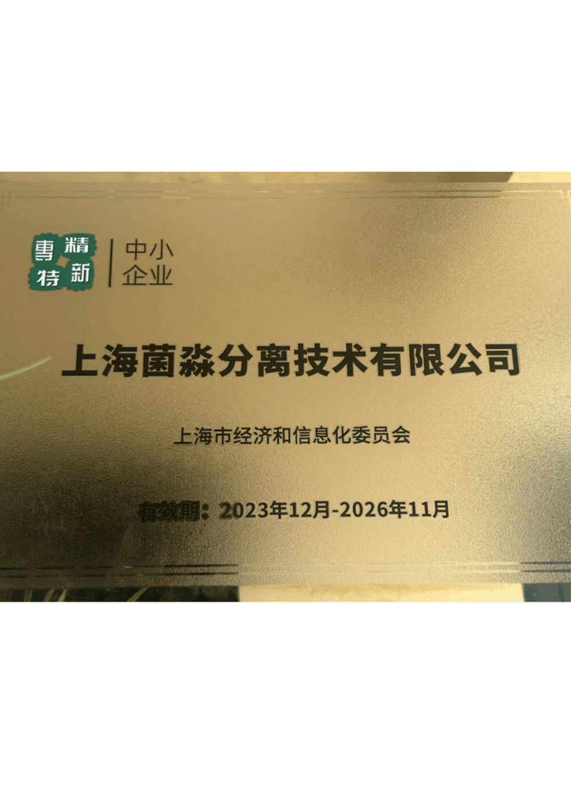 专精特新
