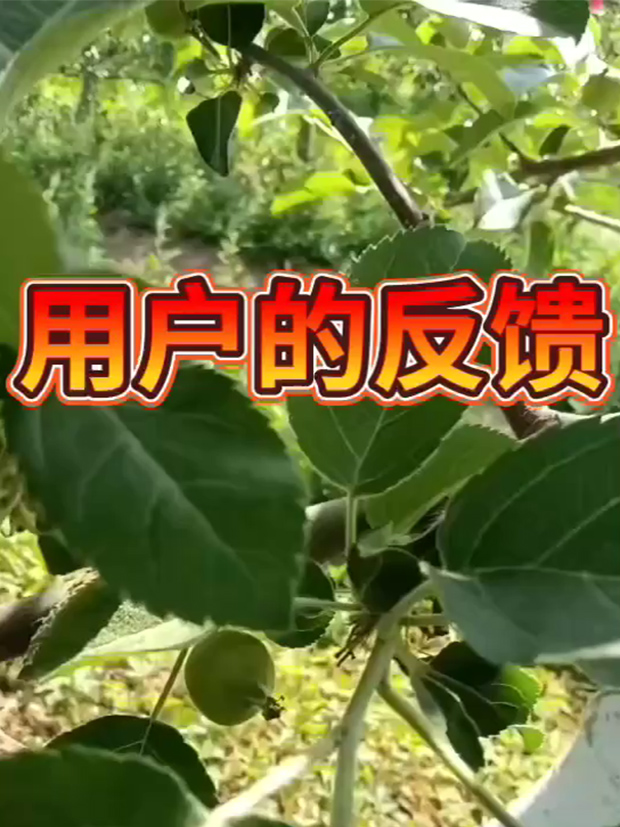 客户反馈1