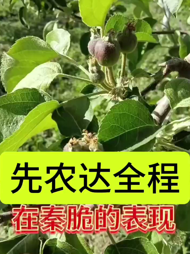 客户反馈10