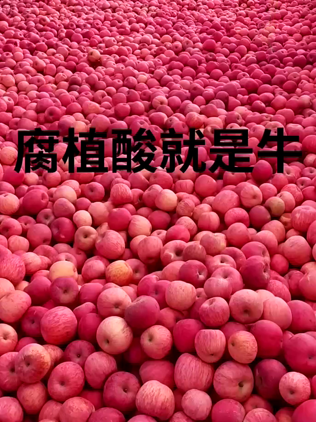 客户反馈6