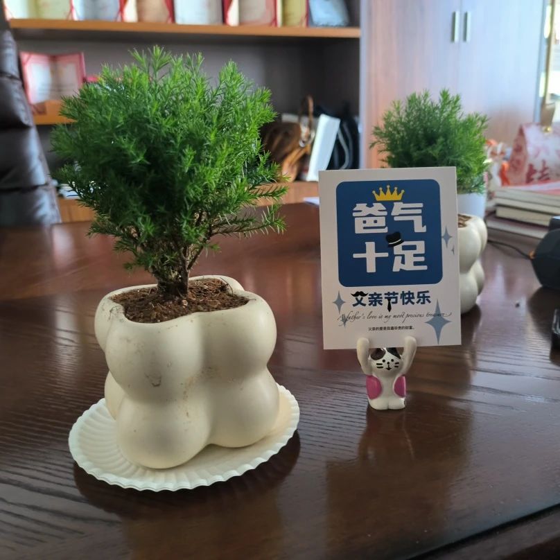 六月温情满格！华格律师事务所双节暖心特辑​