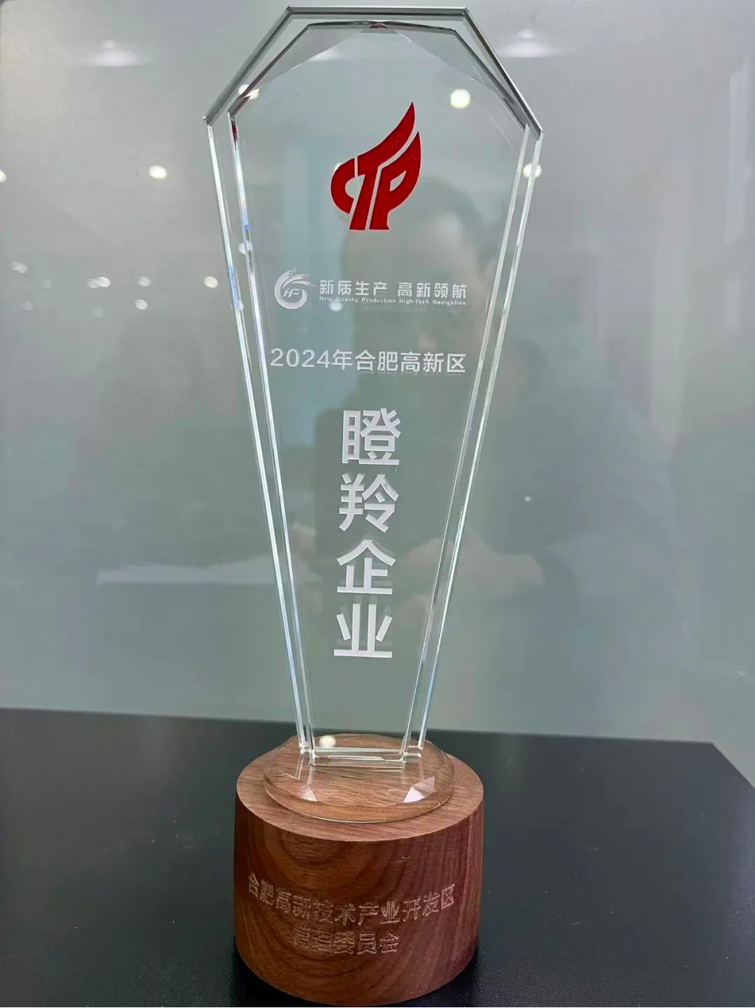 合肥聚跃荣获合肥高新区“瞪羚企业”称号，加速推动集成电路产业发展