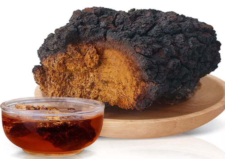 白桦茸茶 白桦茸茶