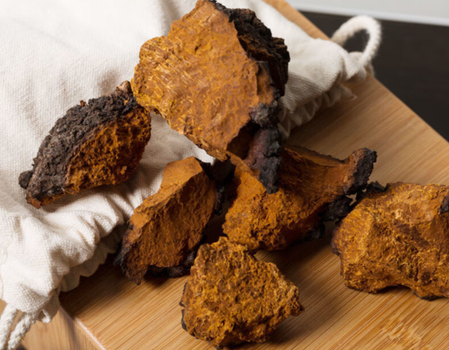 西伯利亚桦树茸 西伯利亚桦树茸