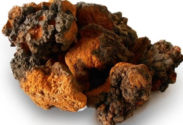 白桦茸价格指南：如何根据预算选择合适产品