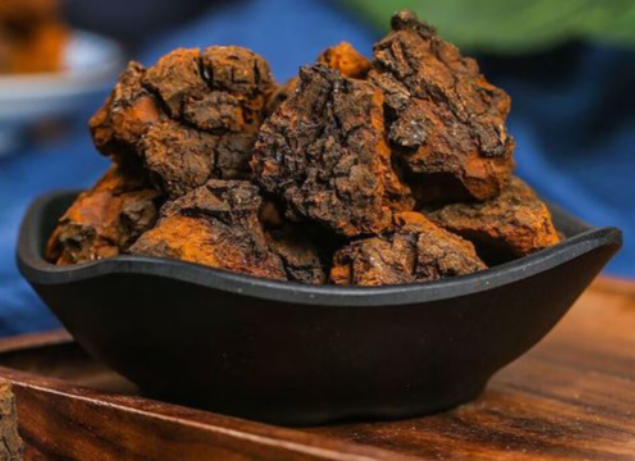 桦褐孔菌四季饮用方案：不同季节的养生要点