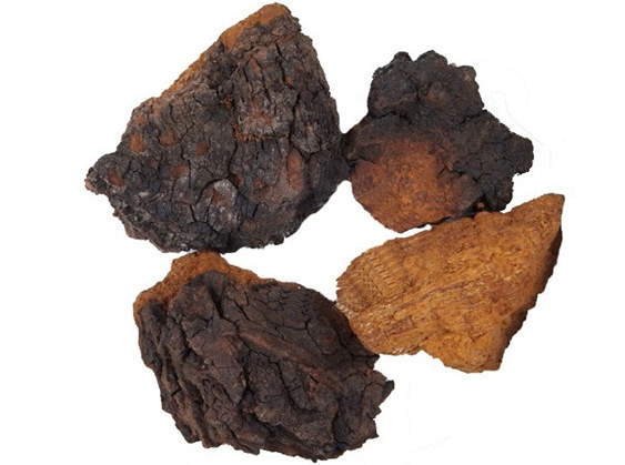 白桦茸与皮肤健康：由内而外的“护肤”新思路