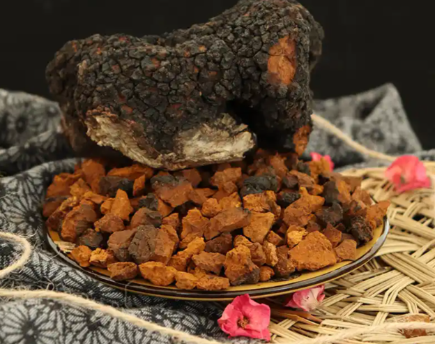 白桦茸饮用误区盘点：看看这几点你“中招”了吗？