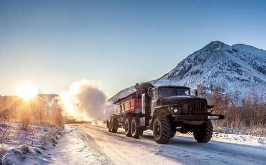 俄罗斯桦树茸关注的环境
