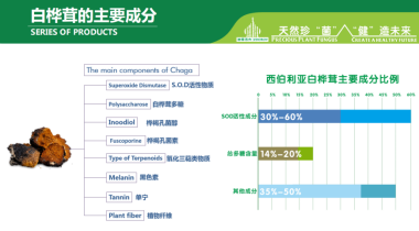 白桦茸的主要成分