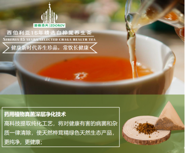 精选白桦茸养生茶 精选白桦茸养生茶
