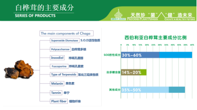 白桦茸主要成分