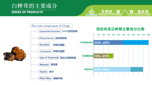 白桦茸主要成分 白桦茸主要成分