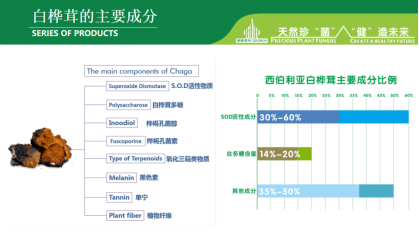白桦茸主要成分