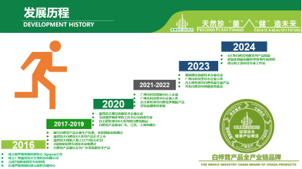 发展历程 发展历程