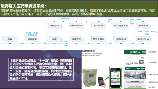 西伯利亚天然馈赠：滋得洛夫白桦茸的品质与价值