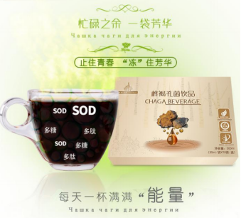 桦褐孔菌饮品 桦褐孔菌饮品