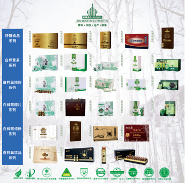 白桦茸系列产品 白桦茸系列产品