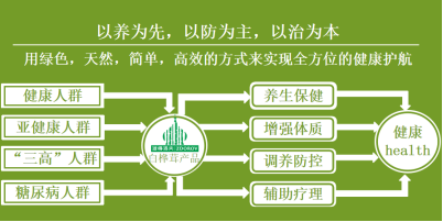 滋得洛夫白桦茸