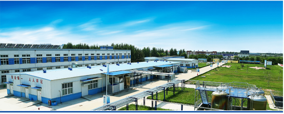 山东鲁华海洋生物科技有限公司