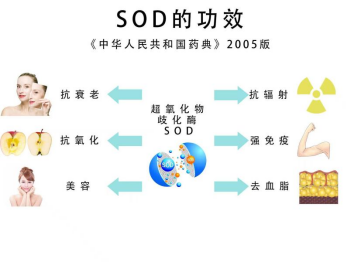 白桦茸SOD