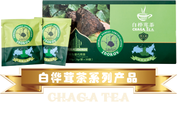 白桦茸