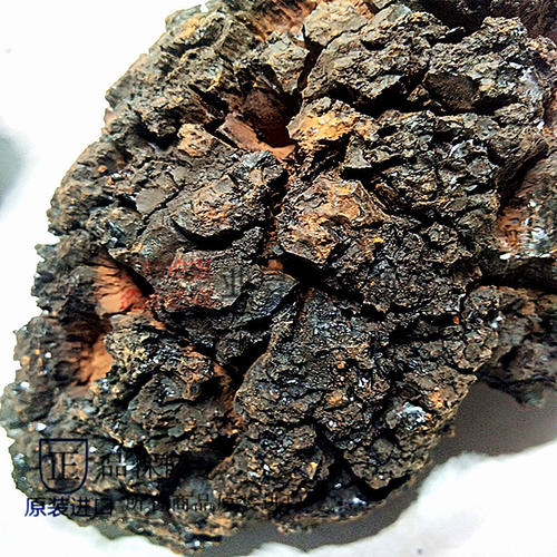 桦树茸功效作用