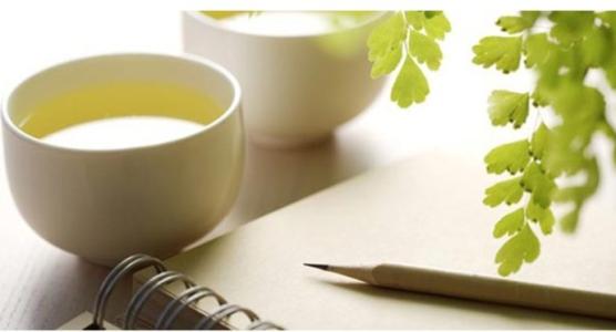 桦树茸知道养生就在夏季怎么说