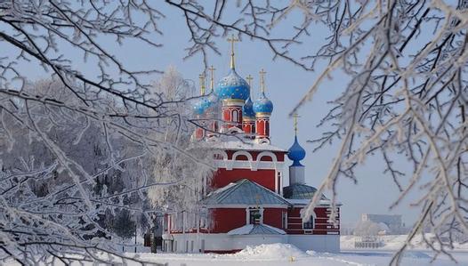 白桦茸在寒冷地区生长俄罗斯