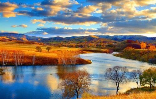 俄罗斯桦树茸的