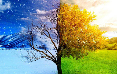 桦树茸代理加盟关注养生方法