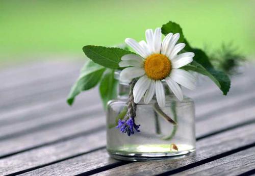 夏季养生的方法