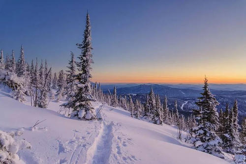 西伯利亚的种植环境