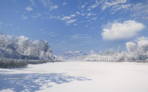 西伯利亚白桦茸