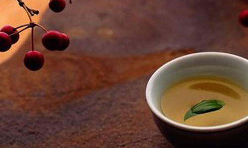 养生之道-桦树茸厂家关注