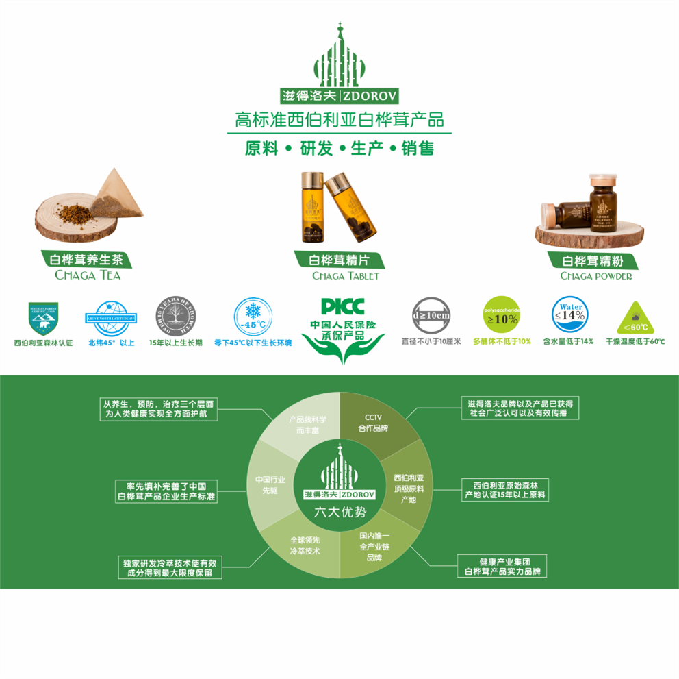中俄联合研发！滋得洛夫白桦茸， 把西伯利亚的养生智慧搬进中国家庭