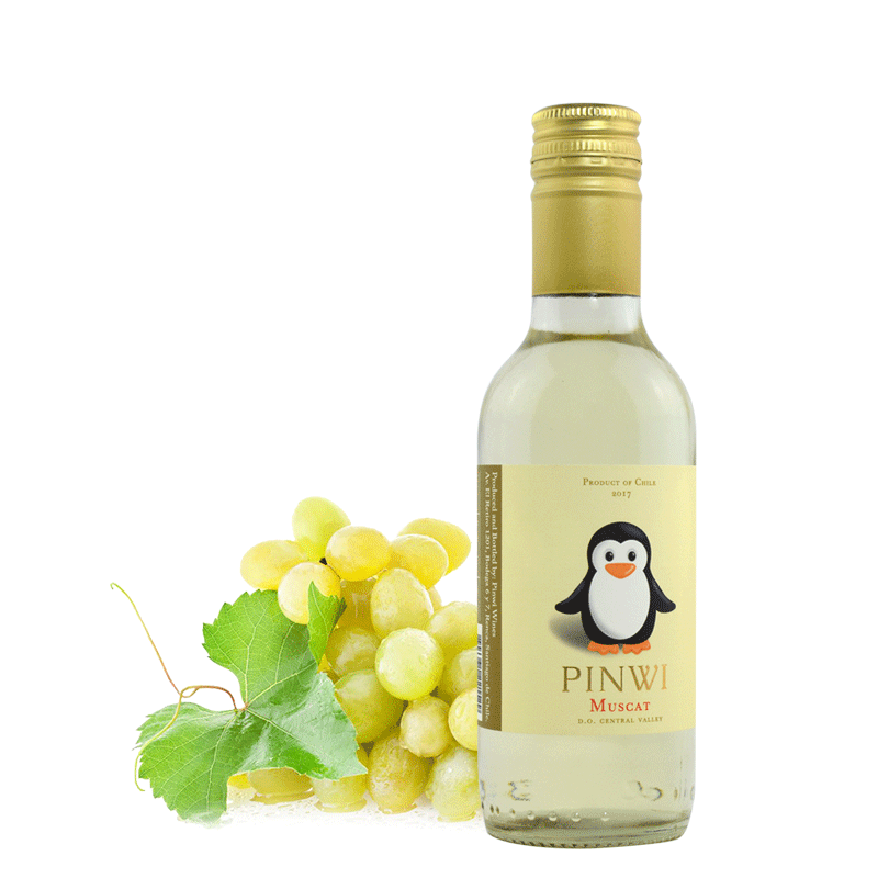 企鹅宝宝莫斯卡托甜白葡萄酒