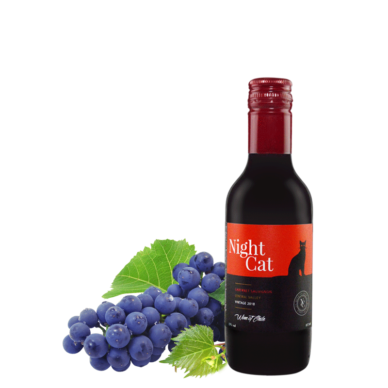 小夜猫赤霞珠红葡萄酒