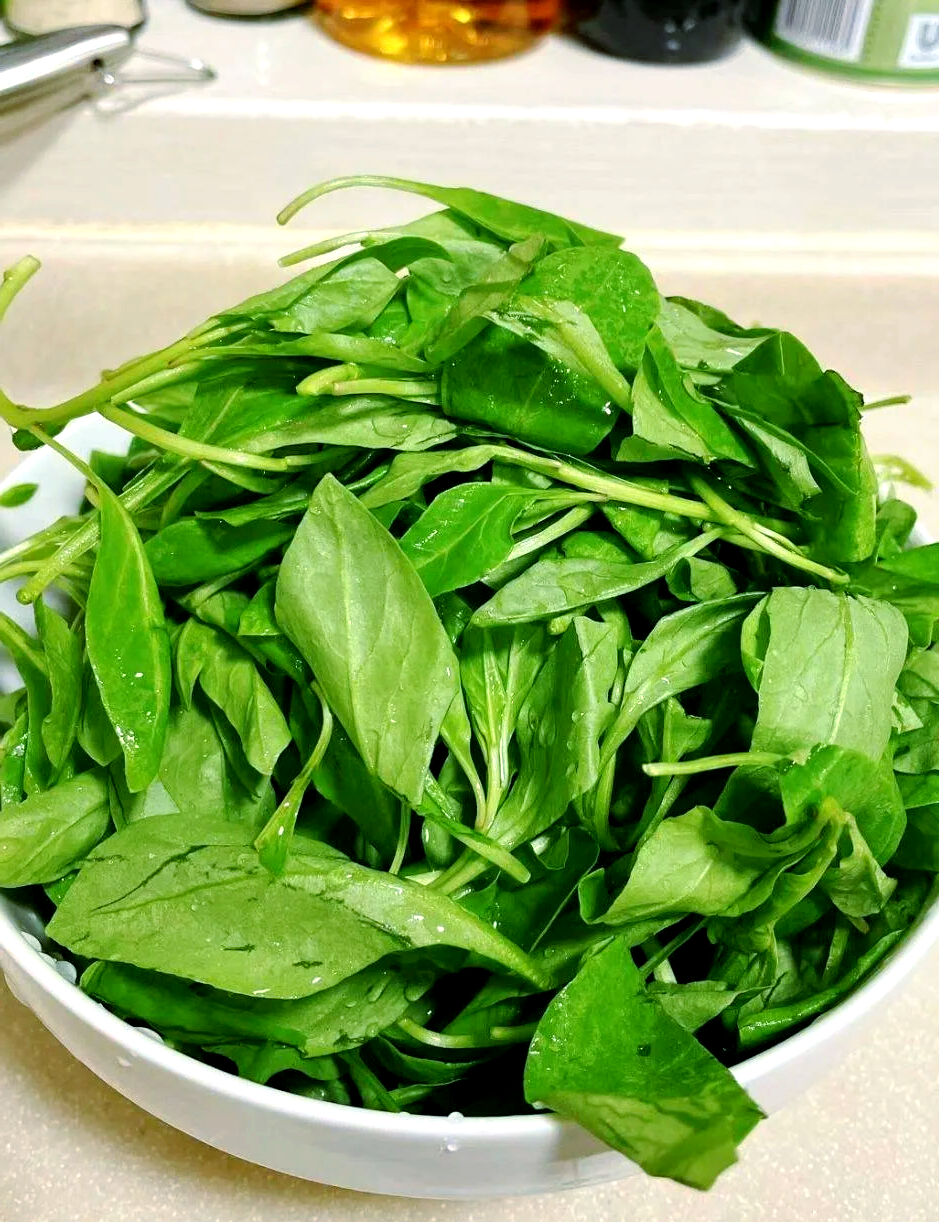 高富寿枸杞叶：千年传承的药食文化瑰宝