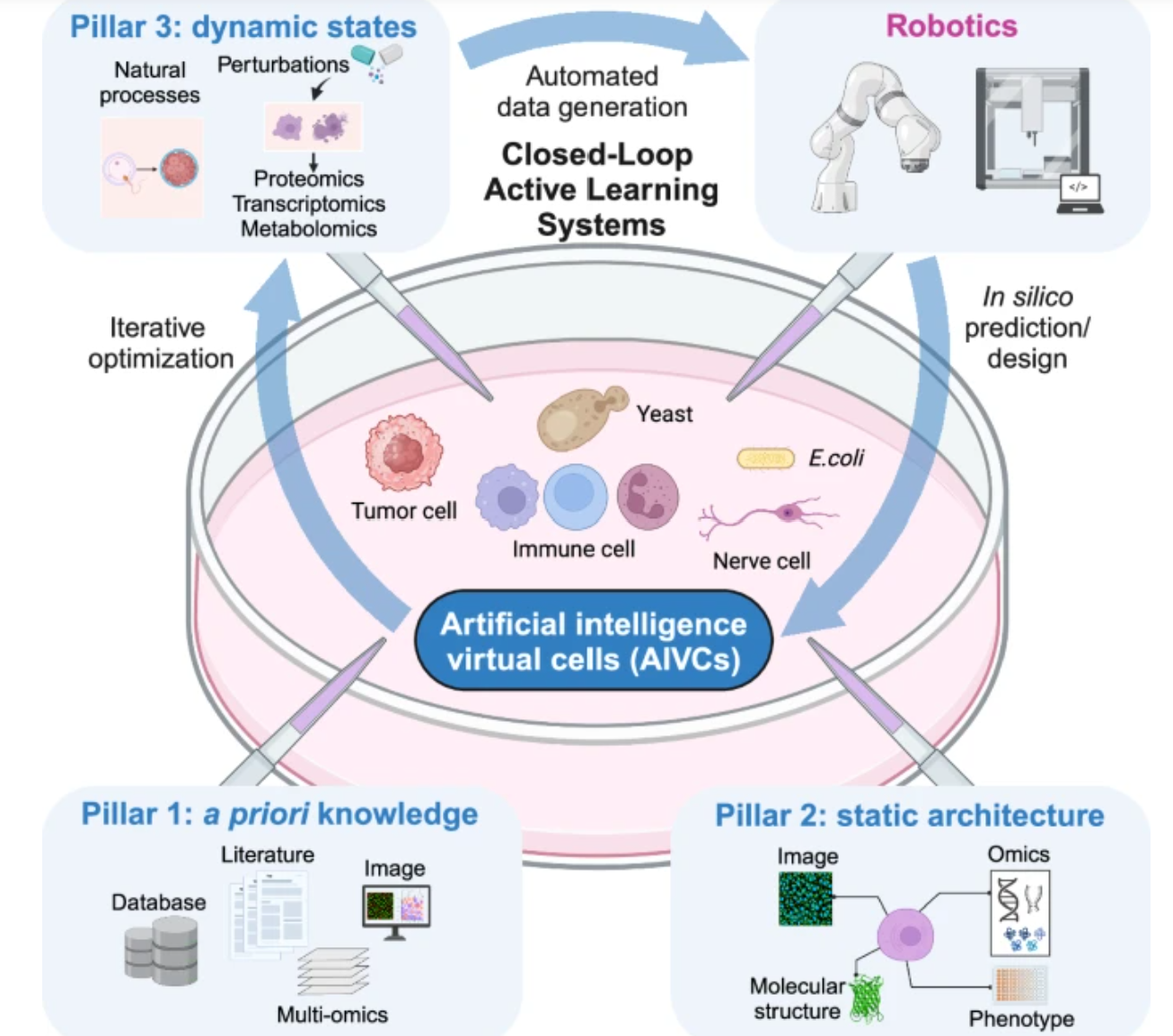 推动AI虚拟细胞的三大数据支柱与闭环学习