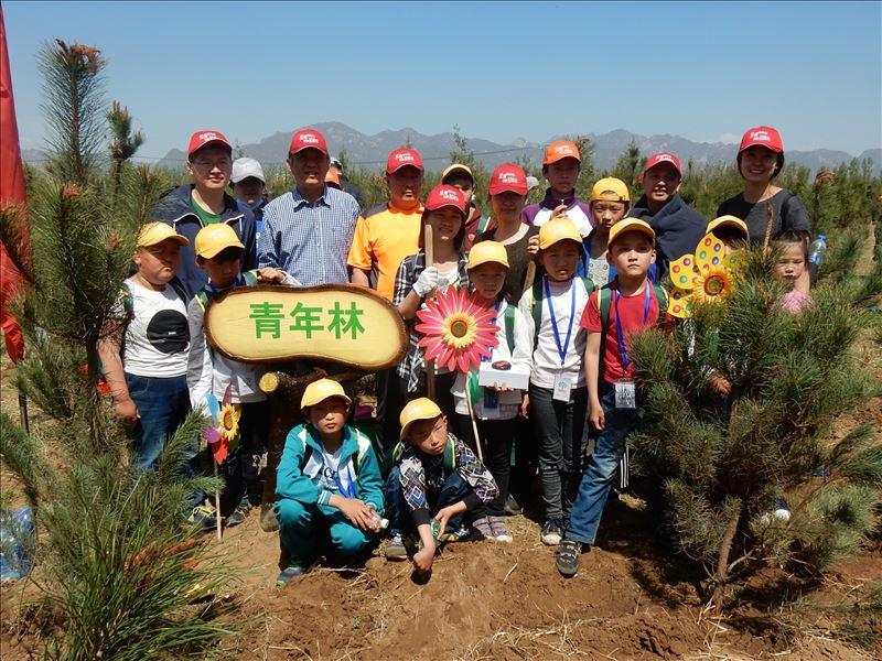 北师大附小学生植树