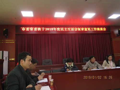 2018年度防城港市委民主生活会征求意见工作座谈会社会组织代表积极发言