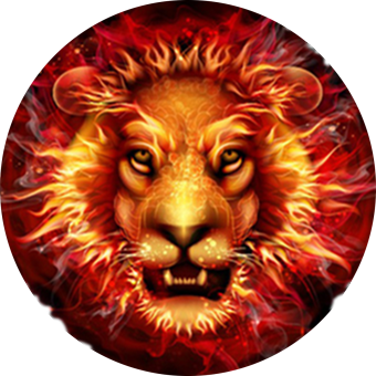 广西爱狮教育咨询有限公司