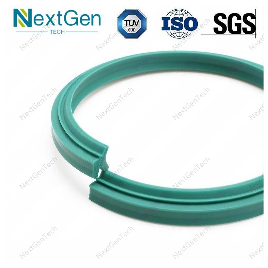 What to Do If There Are Mold Spots on the Sealing Ring?