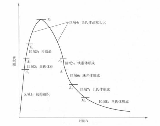 接头热影响区微观组织演化