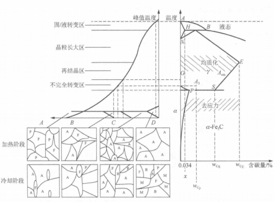 接头热影响区微观组织演化